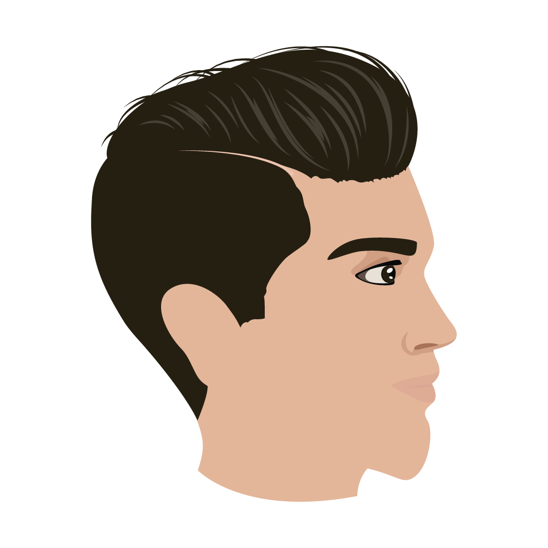 Eyebrow Transplant Doctors Melbourne
